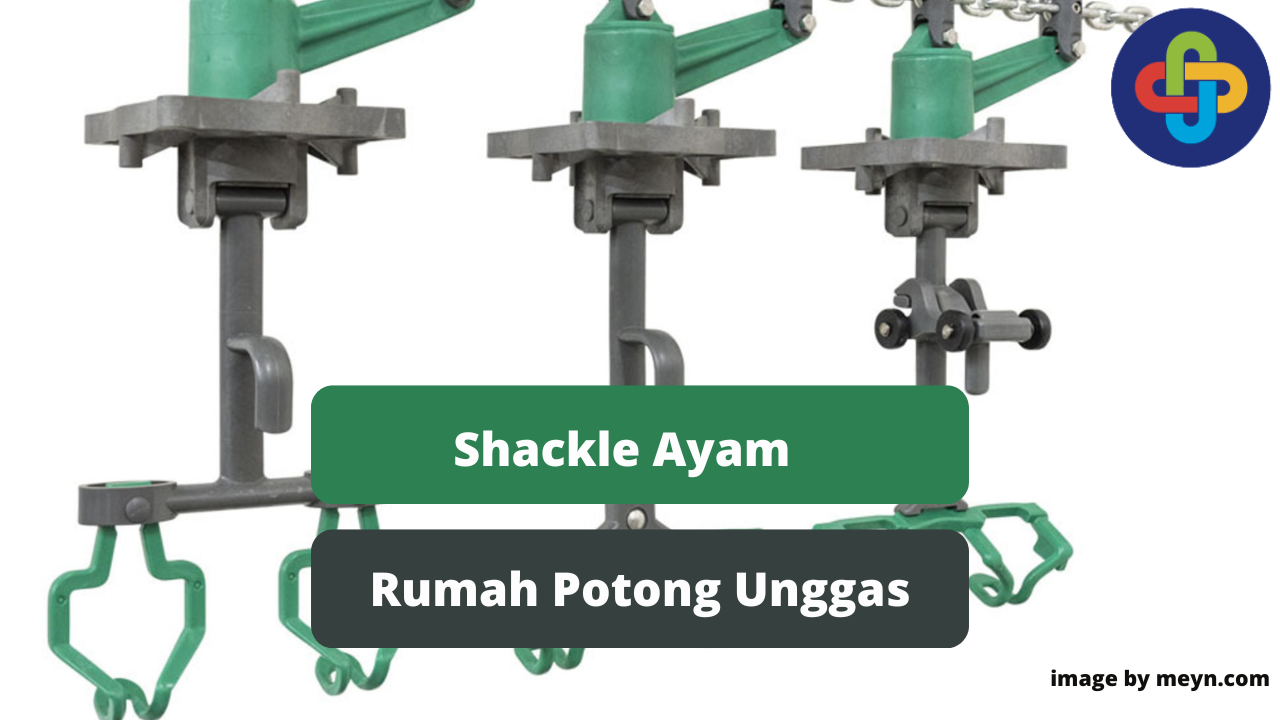 Berikut Alat Shackle Ayam Dalam Industri Rumah Potong Unggas